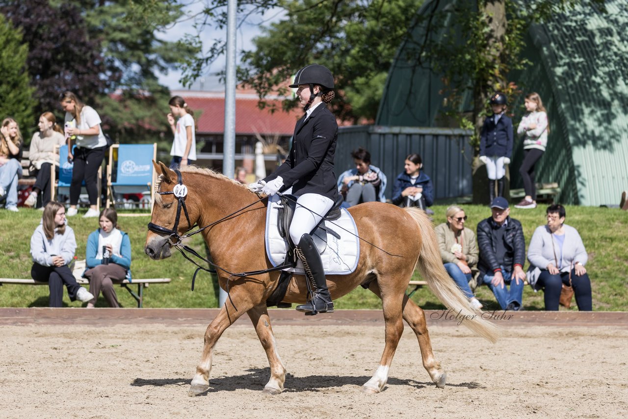 Bild 549 - Pony Akademie Turnier